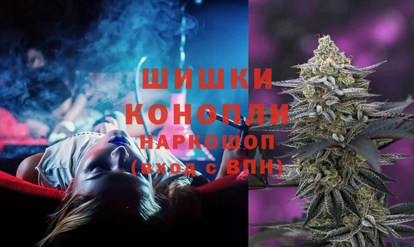 сатива Алексин