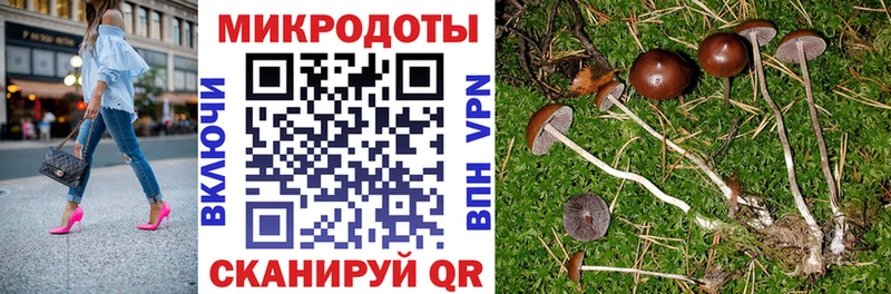 продажа наркотиков  Белгород  Галлюциногенные грибы Psilocybe 